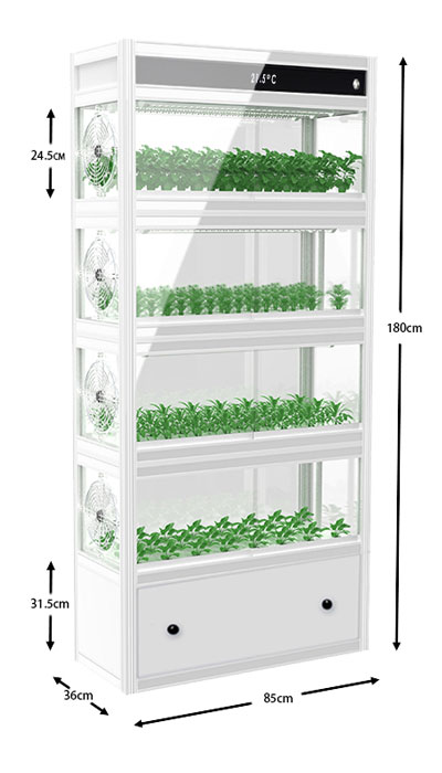 Hydroponic planting lights