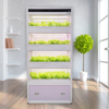 2023 Auma Vegetable Planter Machine Plants Hydroponic Indoor Grow Cabinet