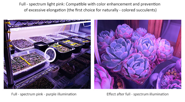 growing light