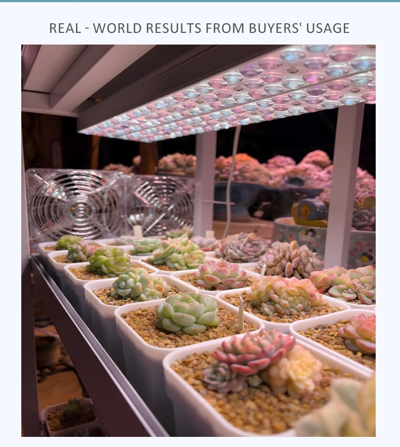 grow light