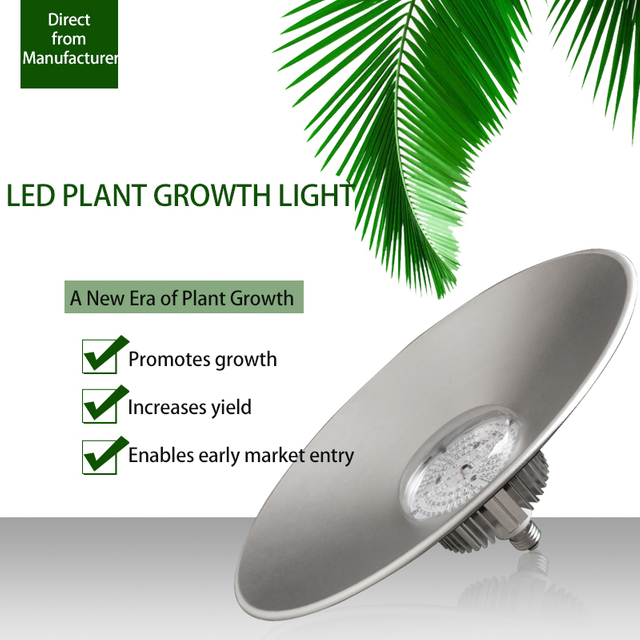 FruitBoost Pro Greenhouse Light - Sunlike Full Spectrum for Bountiful Harvests