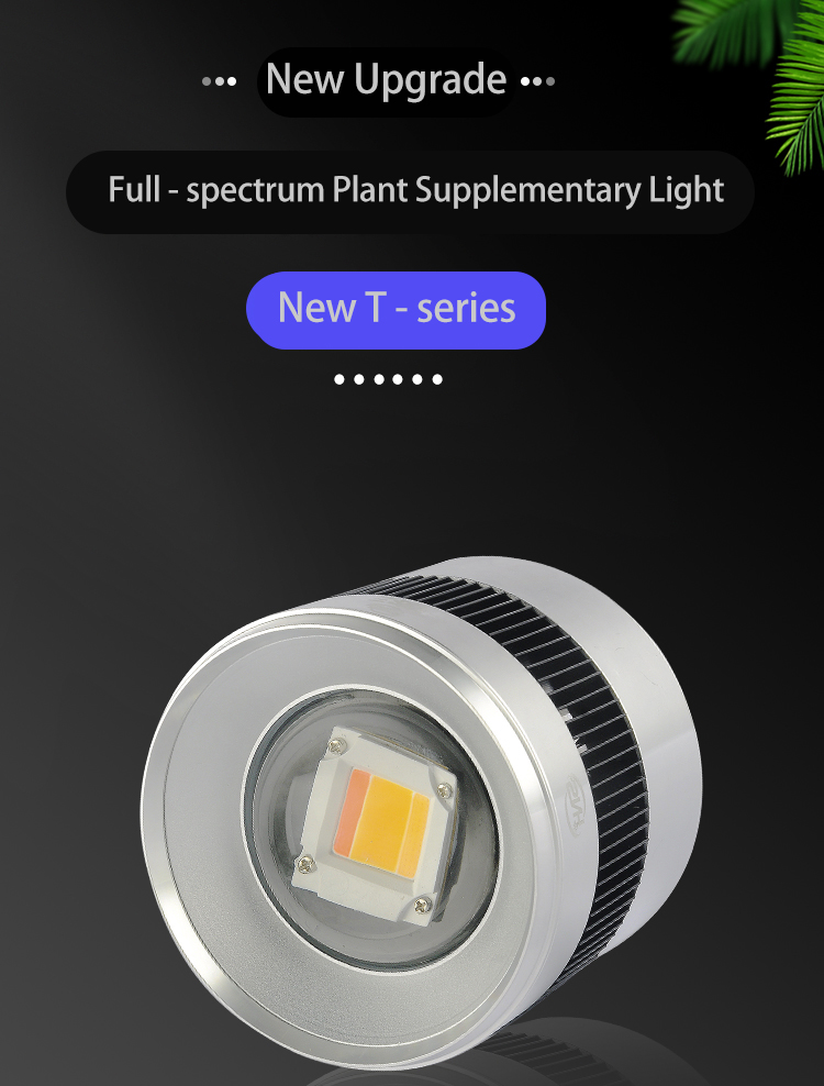 FULL SPECTRUM PLANT LIGHT