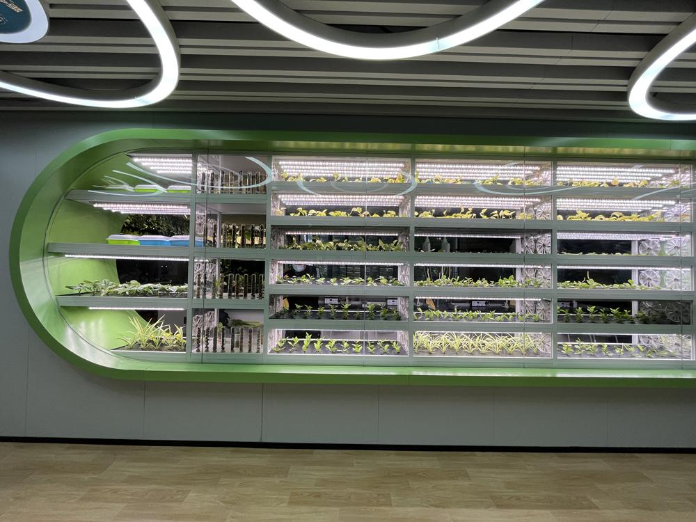 What Is Smart Agriculture?