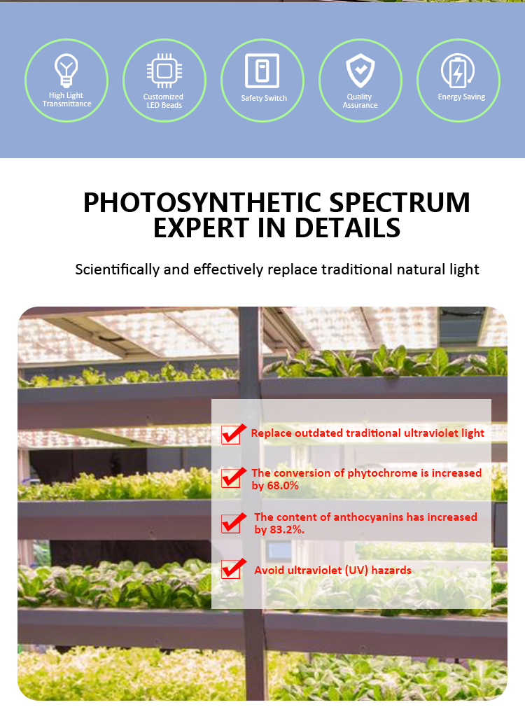 PALNT SUPPLEMENTARY LIGHT