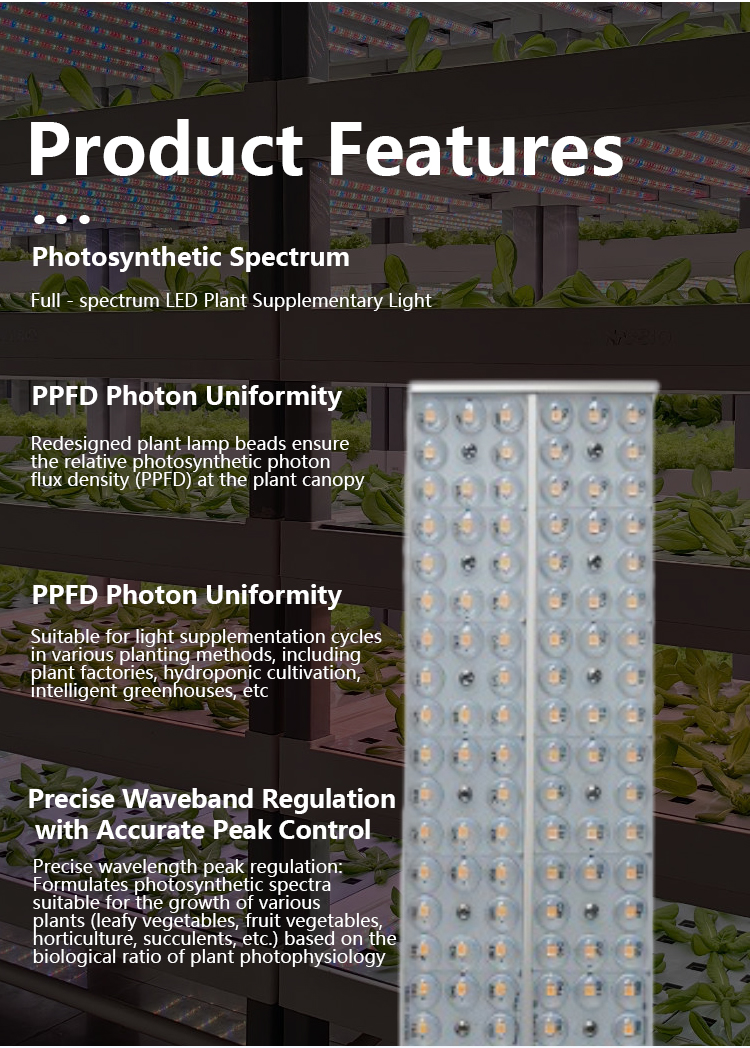 plant grow light