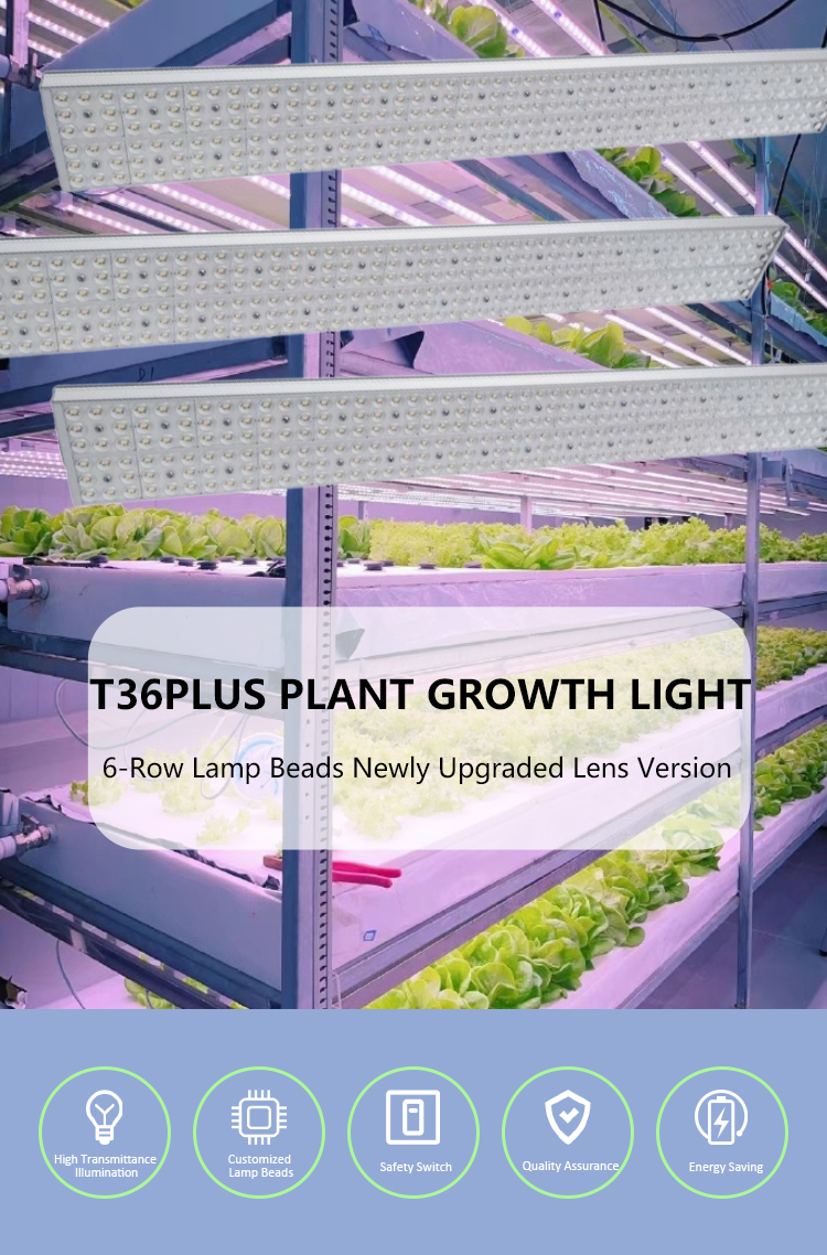 PLANT LAMP