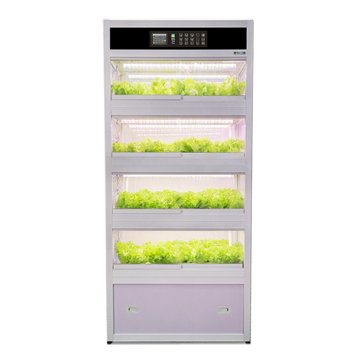 indoor plant machine