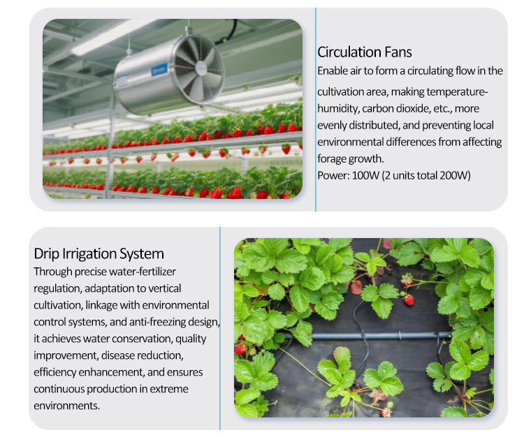 soilless planting