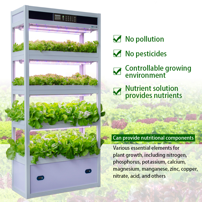 soilless agriculture 