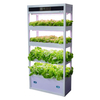 Indoor Automated Vertical Hydroponic Planting Machine for Soilless Cultivation