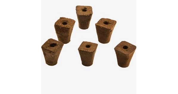 Substrate Cultivation: A New Trend in Modern Agriculture And The Unique Advantages of Π Soil