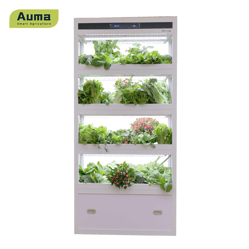 AM4T Full-Enclosed Plant Planter from China manufacturer - Organic