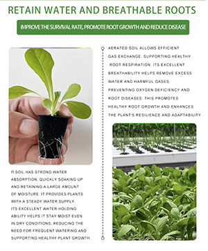 grow plug for seed starting