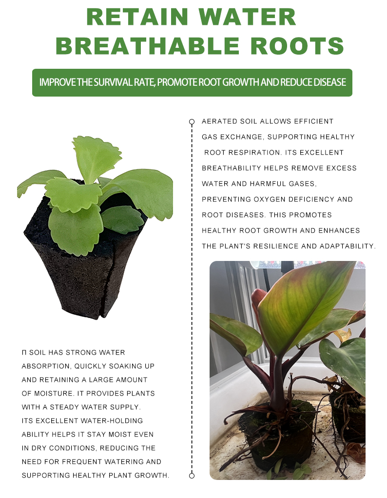 grow plug for seed starting