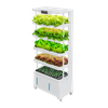 Indoor Soilless Cultivation Hydroponic Kit: Vertical Hydroponic System, Vegetable Planting Machine in Intelligent Grow System