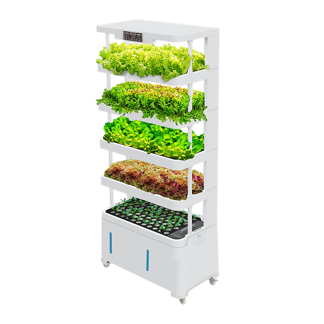 Indoor Soilless Cultivation Hydroponic Kit: Vertical Hydroponic System, Vegetable Planting Machine in Intelligent Grow System