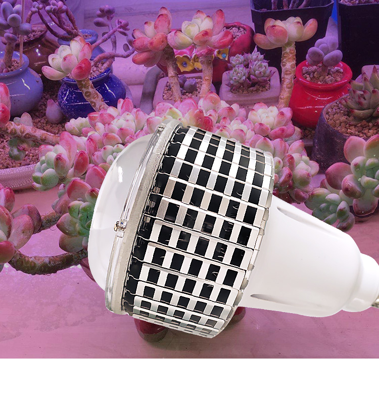 bubble plant grow light