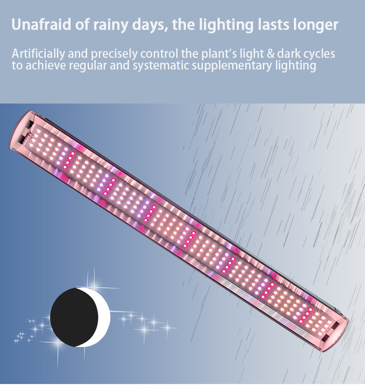 LED GROW LIGHT