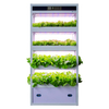 Indoor Automated Vertical Hydroponic Planting Machine for Soilless Cultivation