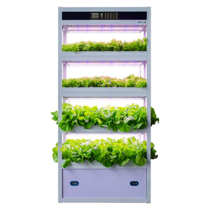 Indoor Automated Vertical Hydroponic Planting Machine for Soilless Cultivation