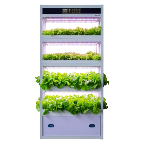 Indoor Automated Vertical Hydroponic Planting Machine for Soilless Cultivation