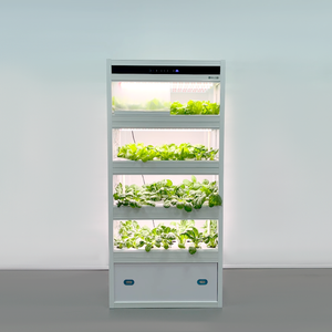 AM4T Full-Enclosed Planting Cabinet with Hydroponic System for Urban Farm