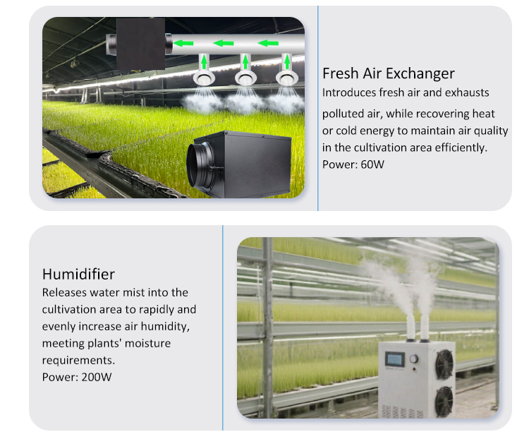 container hydroponic system