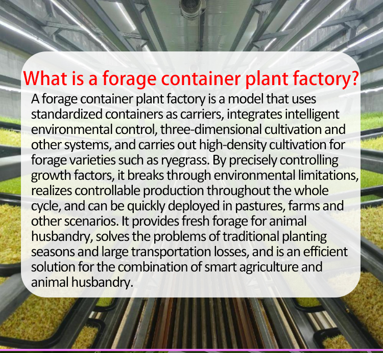soilless agriculture 