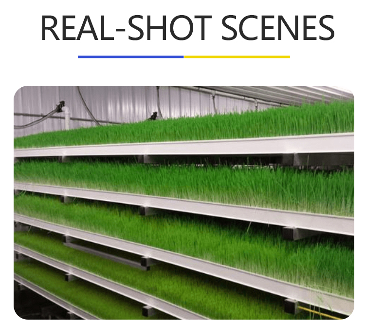 forage vertical system
