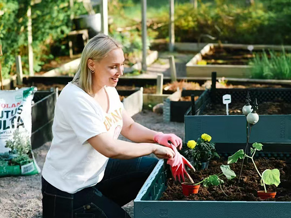 Growing Sponges: Cultivating an Urban Sky Garden