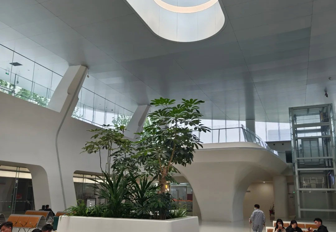 ​​Vibrant Vistas: Π Soil's Role in High-Speed Rail Greenery