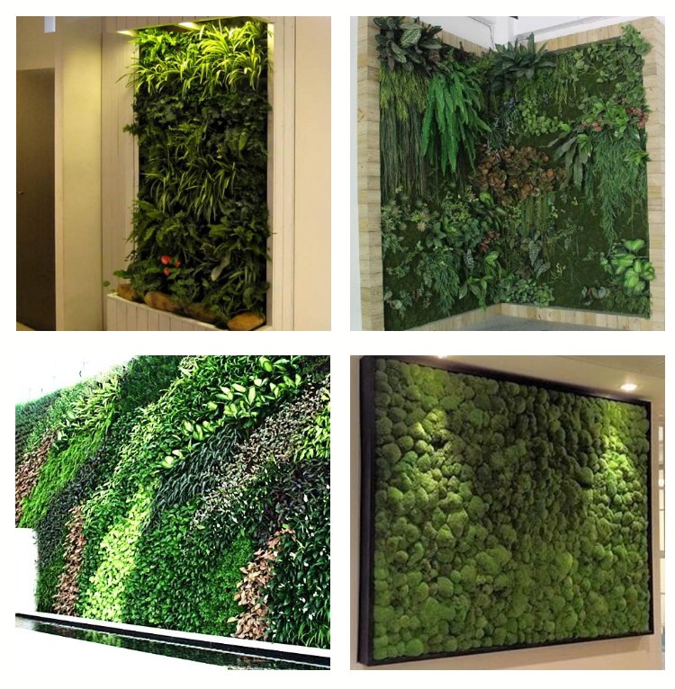 home plant wall