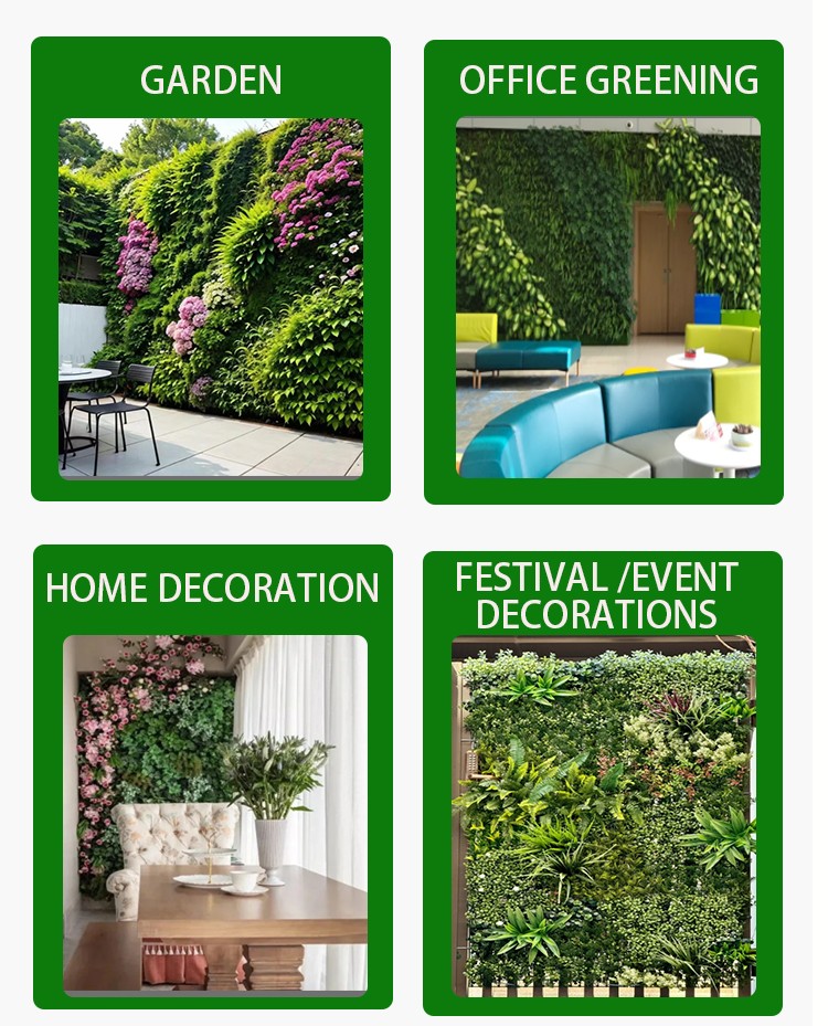 plant wall apply