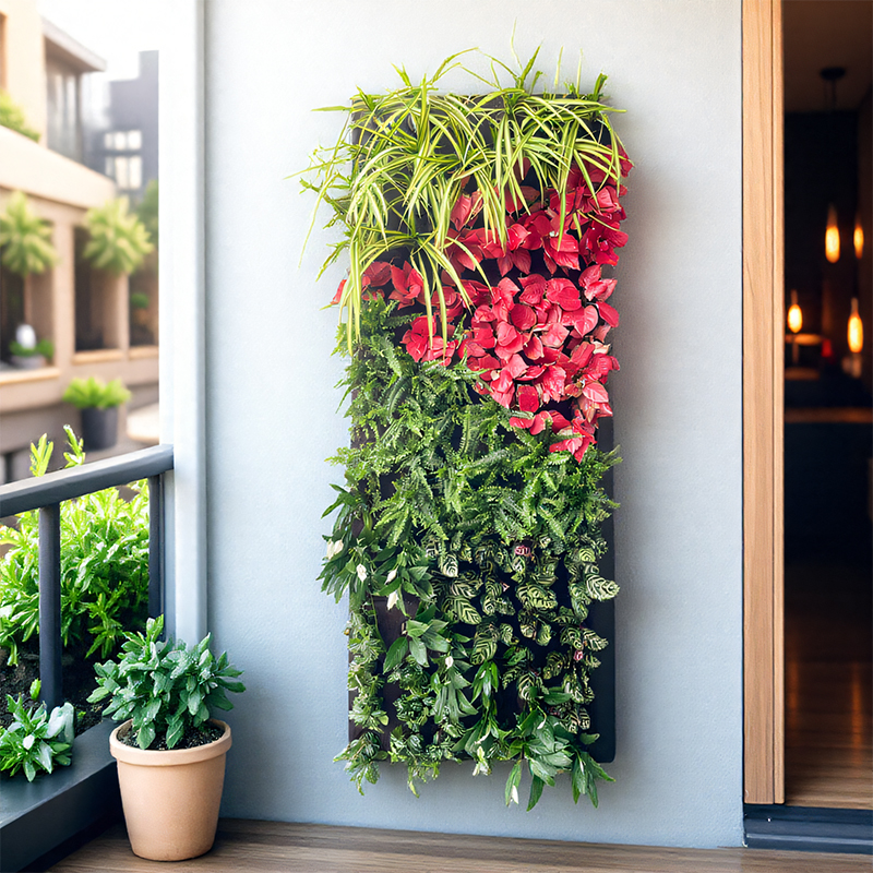 plant wall