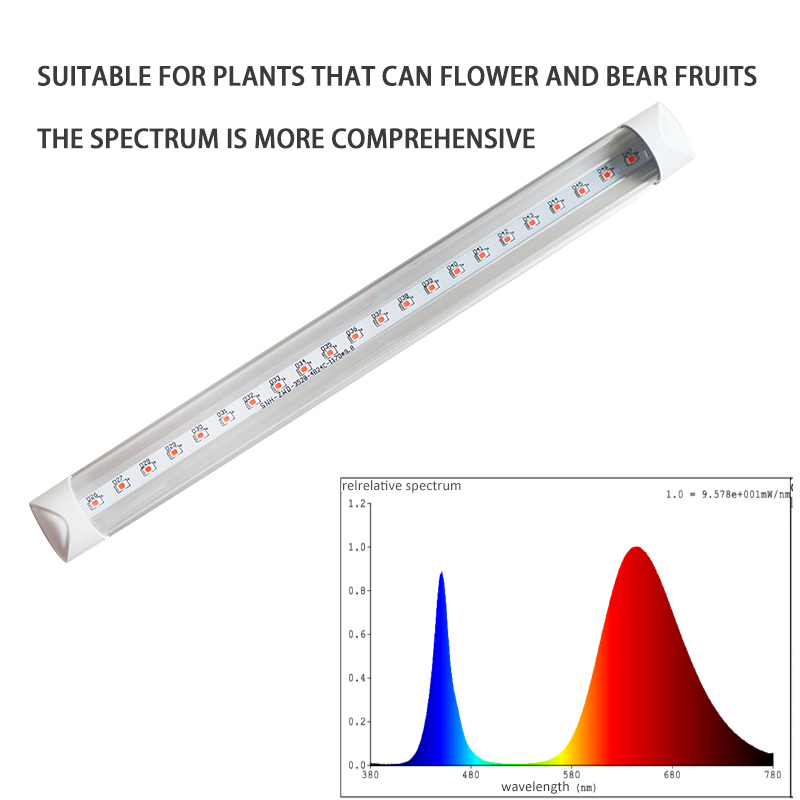 grow light