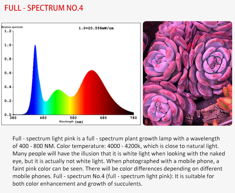 full spectrum No.4