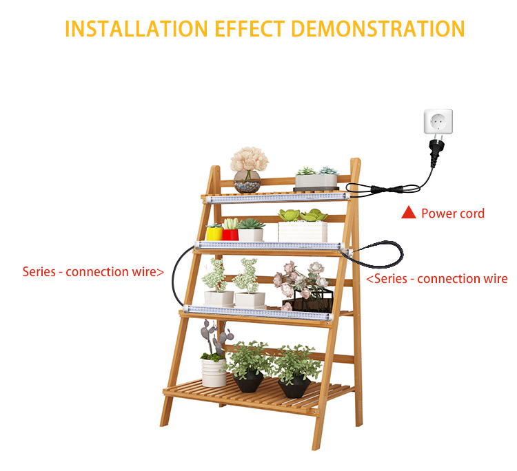 PLANT LIGHT 