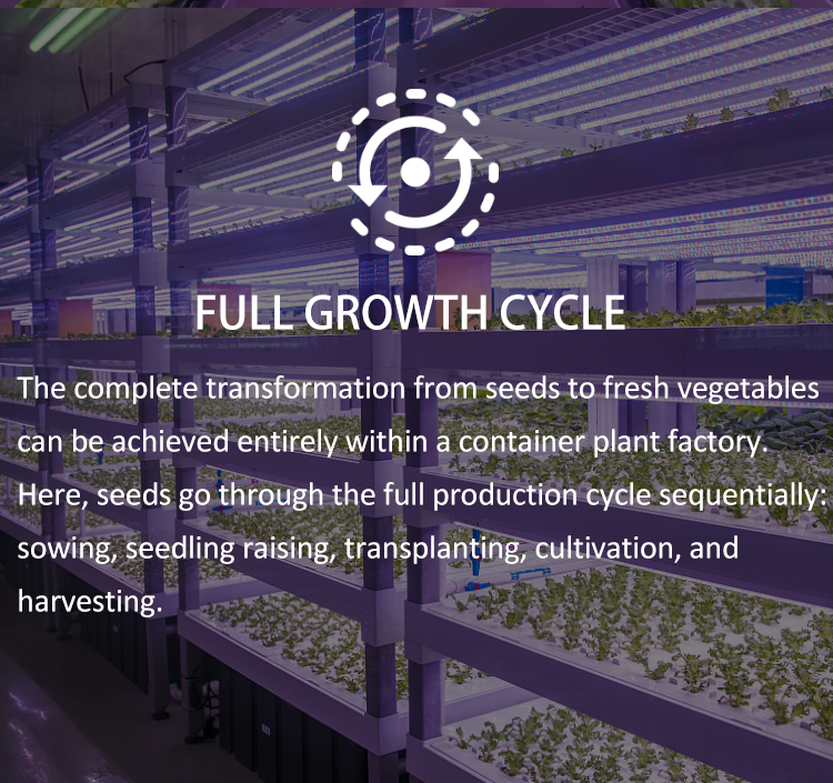 hydroponics system