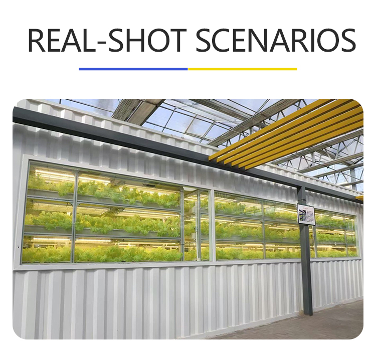 container farm for leaf vegetable