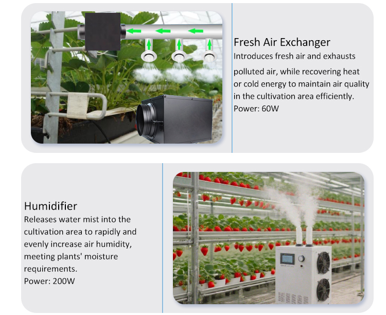 container planting system
