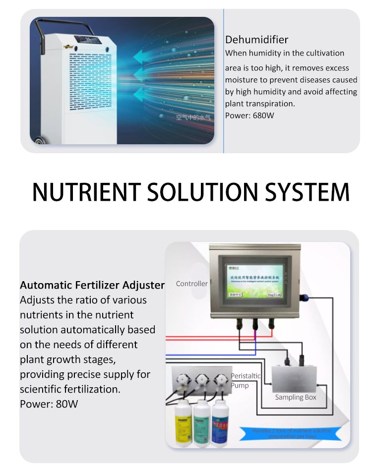 hydroponic planting 