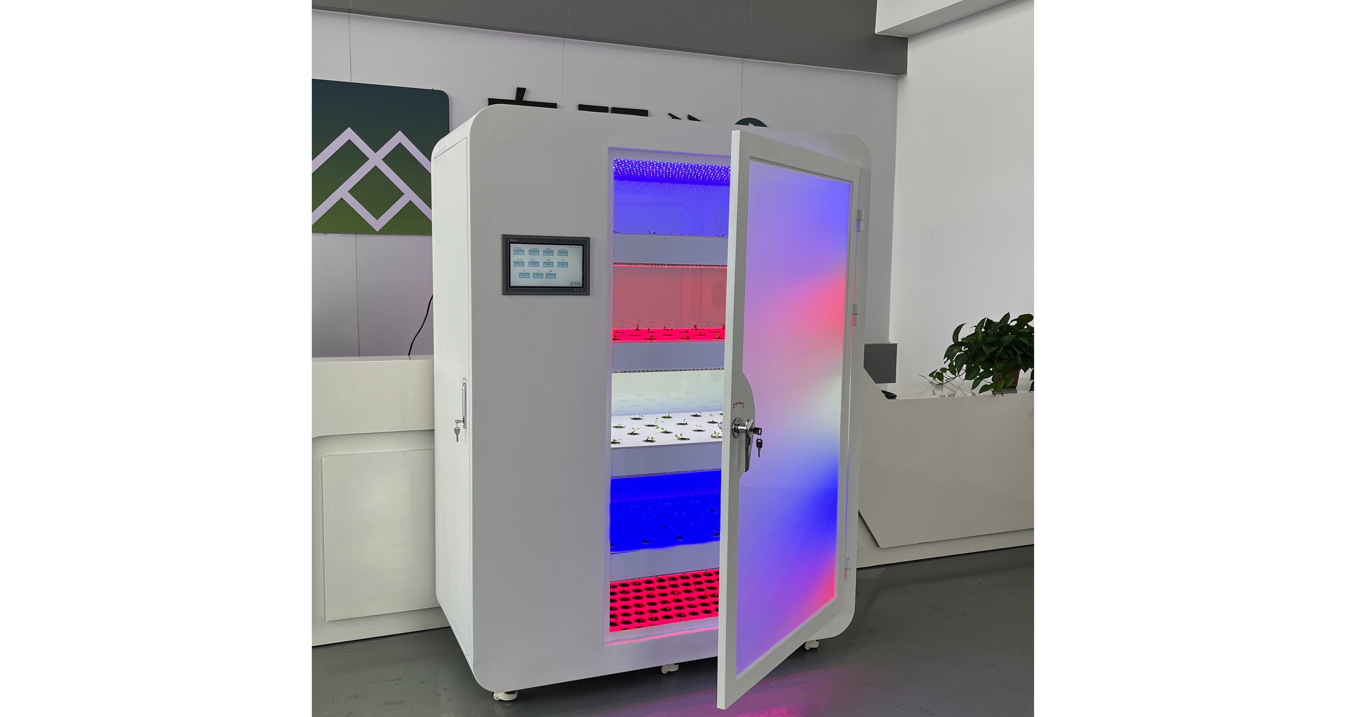 Home Hydroponic Cultivation Made Easy! Choosing The Right Equipment Is Key —— Taking The Auma AM4 - S Planter As An Example