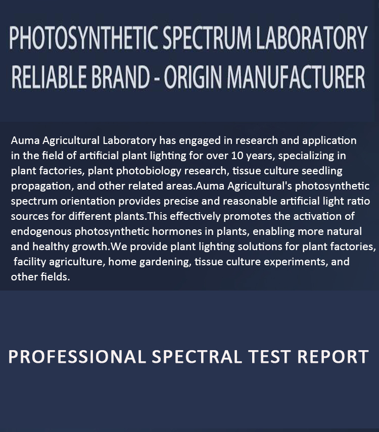 led plant growth