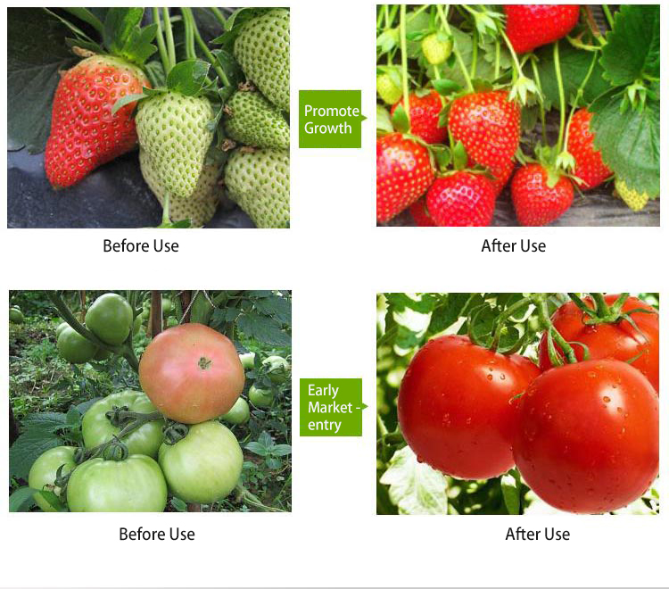 GREENHOUSE GROW LIGHT