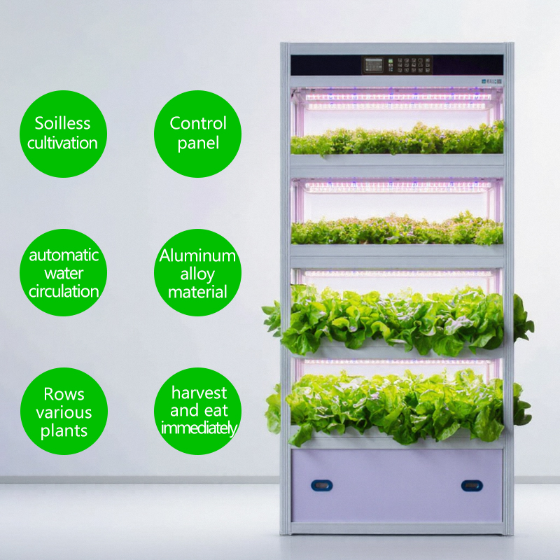 hydroponic system