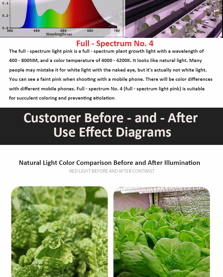 PLANT LIGHT