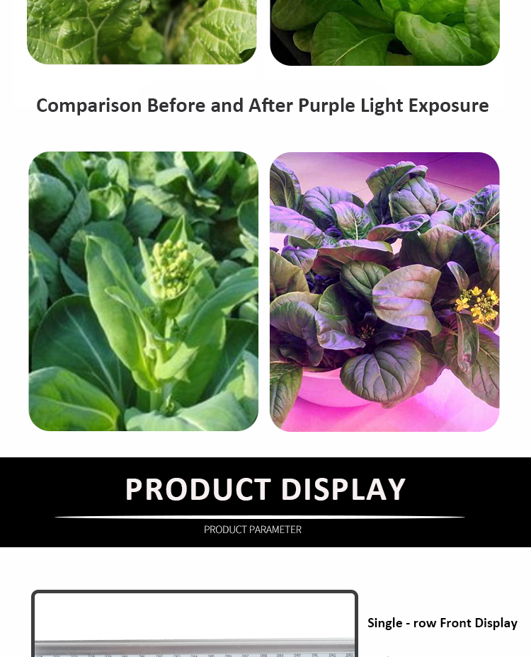 plant grow light