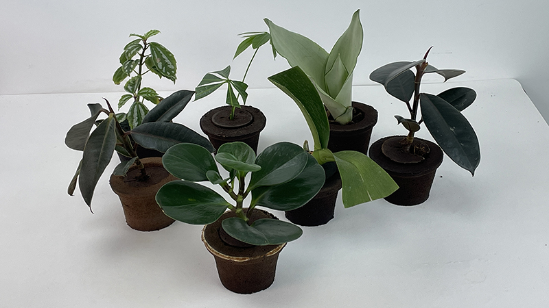 π Soil: The Next Generation of Sustainable Agriculture and Gardening
