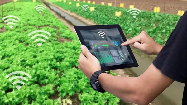 Smart agriculture.jpg