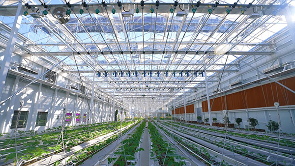 Why Smart Agriculture Is Essential